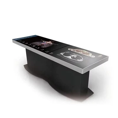 Digital Human Virtual Anatomy Table System